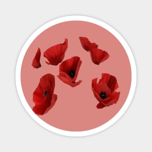 Red Poppies Artsy Floating Florals Arrangement Magnet